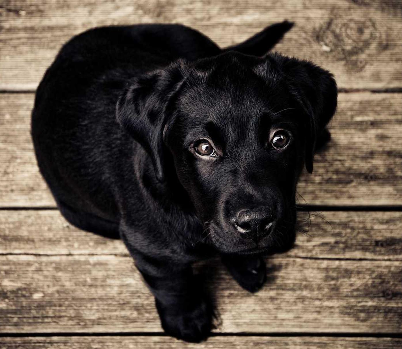 解读DDOS攻击cc防护- 非洲公司代理注册