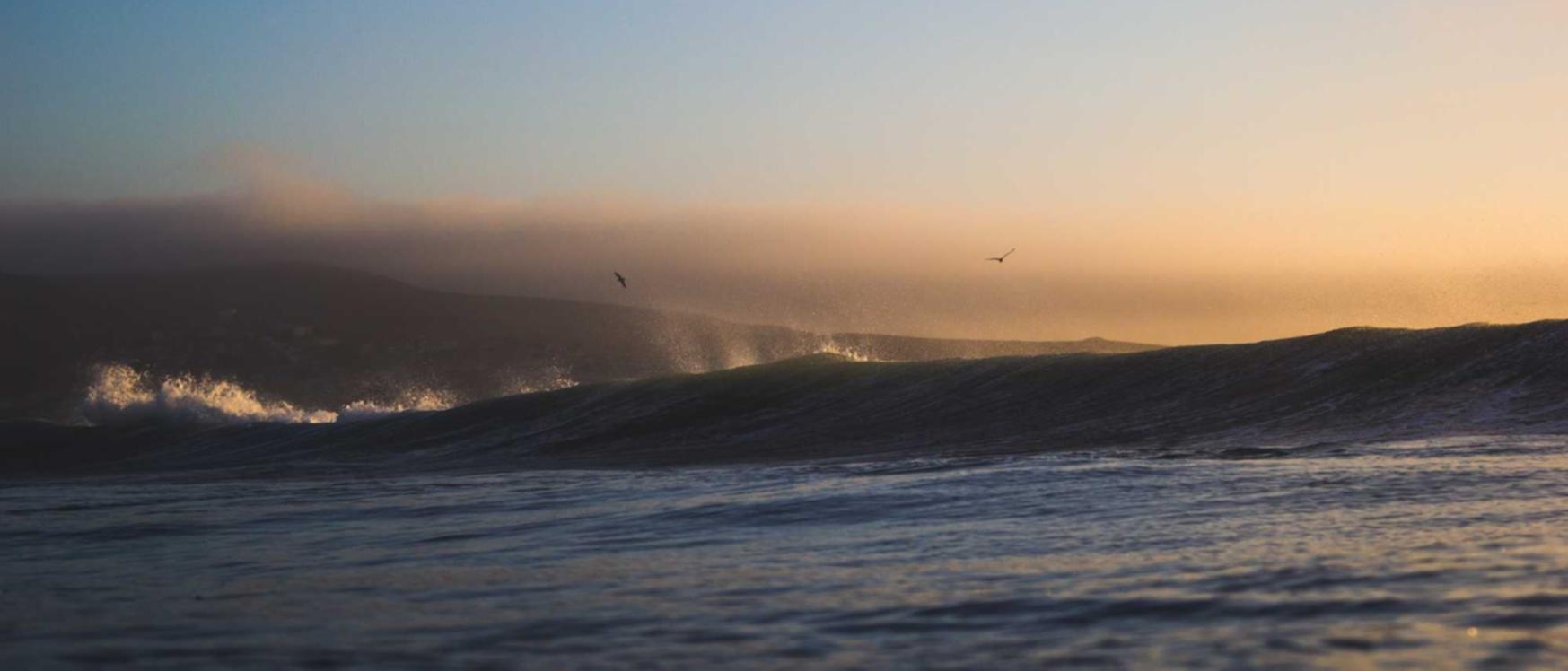 联合合作伙伴以拓展业务范围