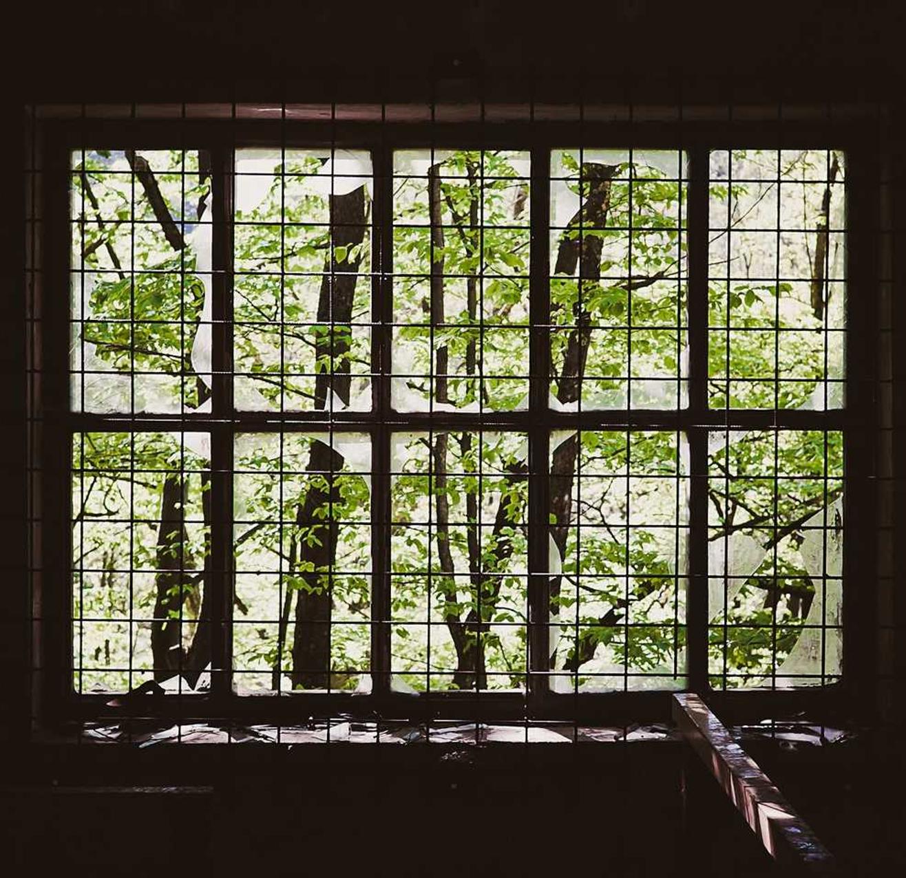 港免税白绿万宝路:青海纳税服务app详情下载教程