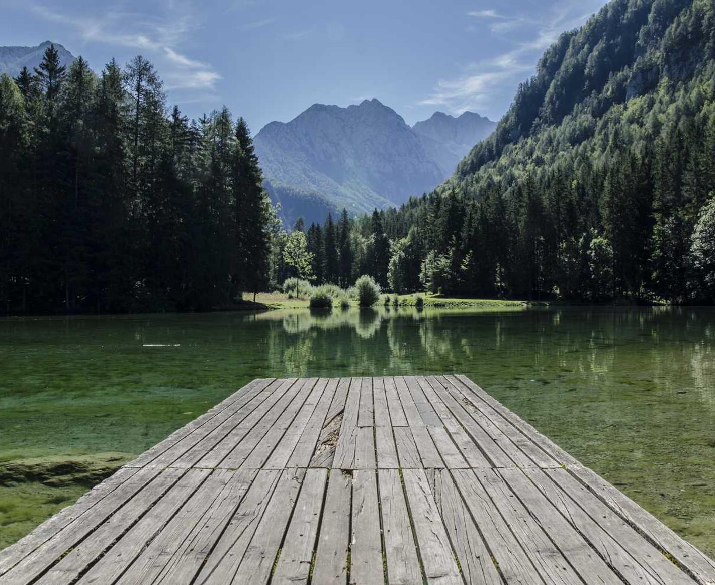 已绑卡实名账号:基金的购买平台