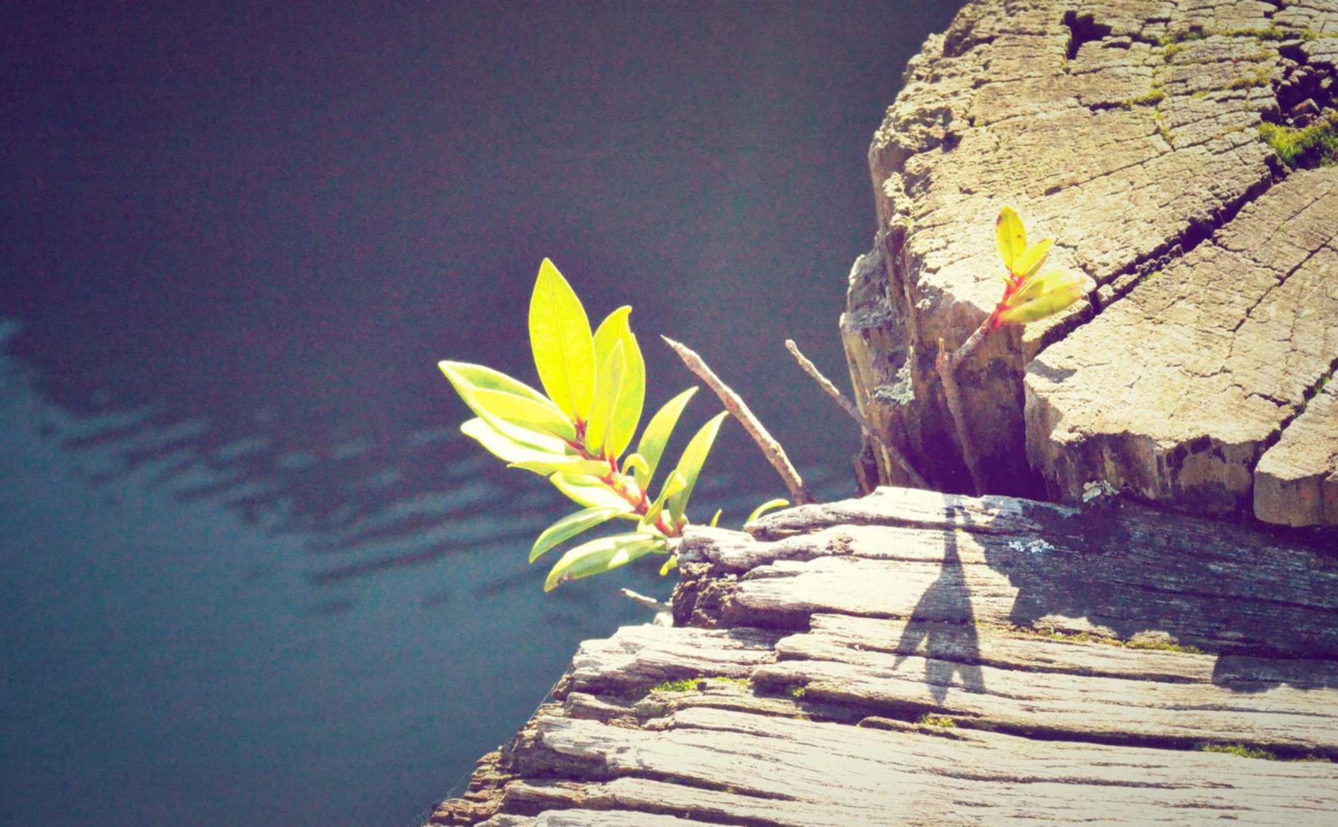 ucloud实名账号:瑞安企业注册加代理记账