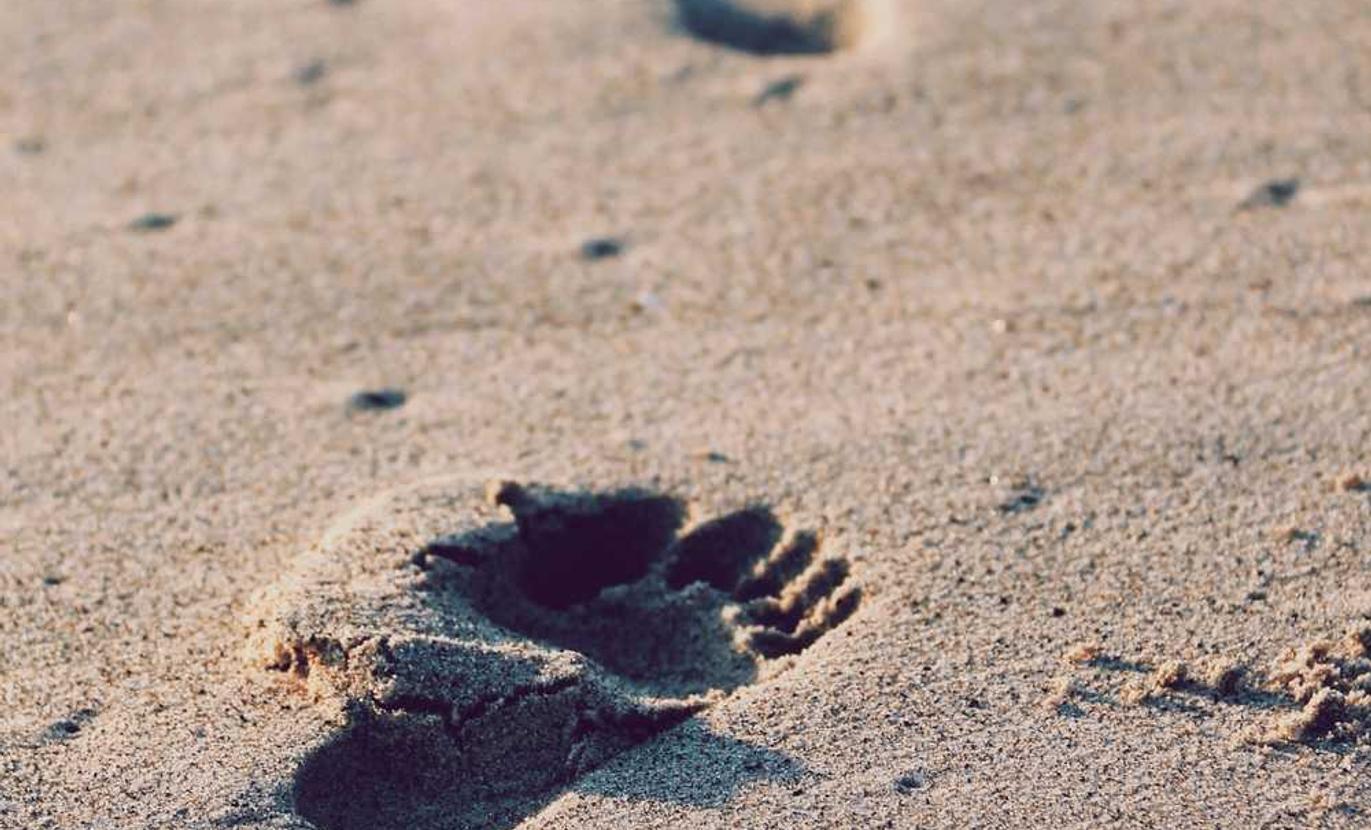 如何SEO优化网站的404页面?