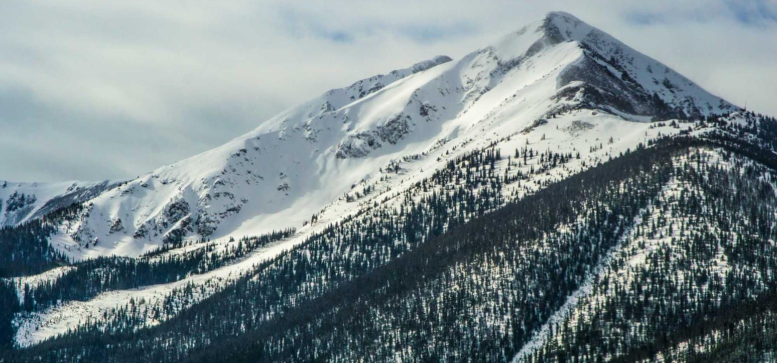 电影app详情下载教程ipad