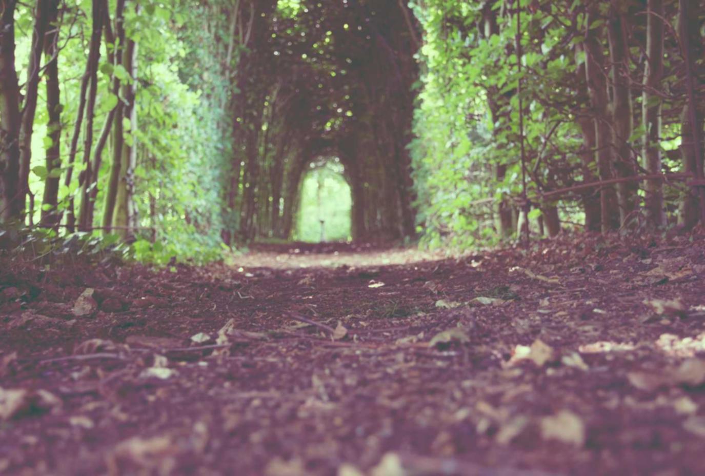 The Importance of Brand Consistency in Business Marketing