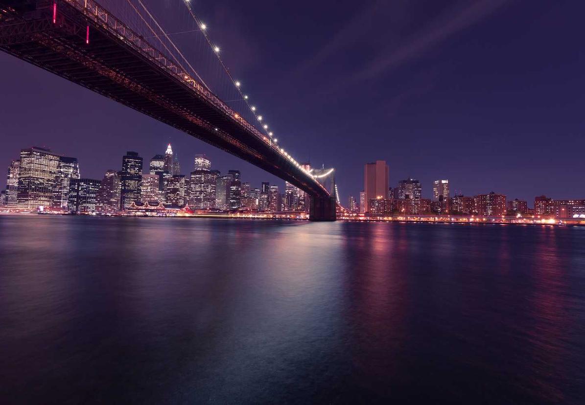 自由之战:流量代理平台的骗