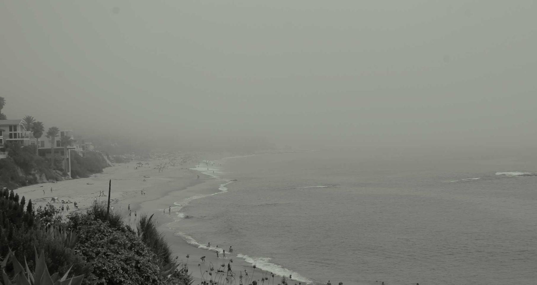 可以找到含尼古丁的东西,尼古丁对人体的影响