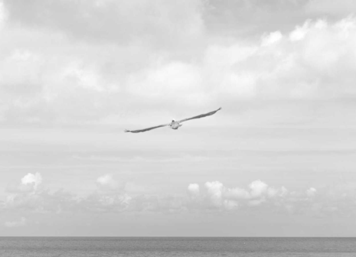 雨露百事通app详情下载教程