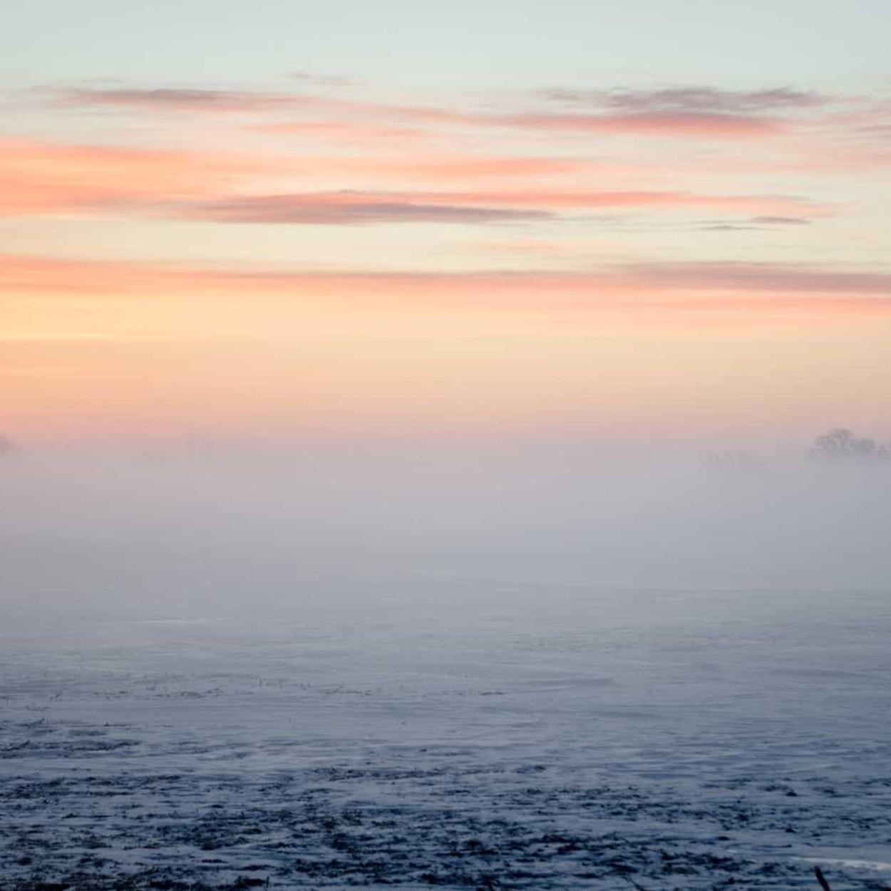 ddos:大发项目规划平台app购买