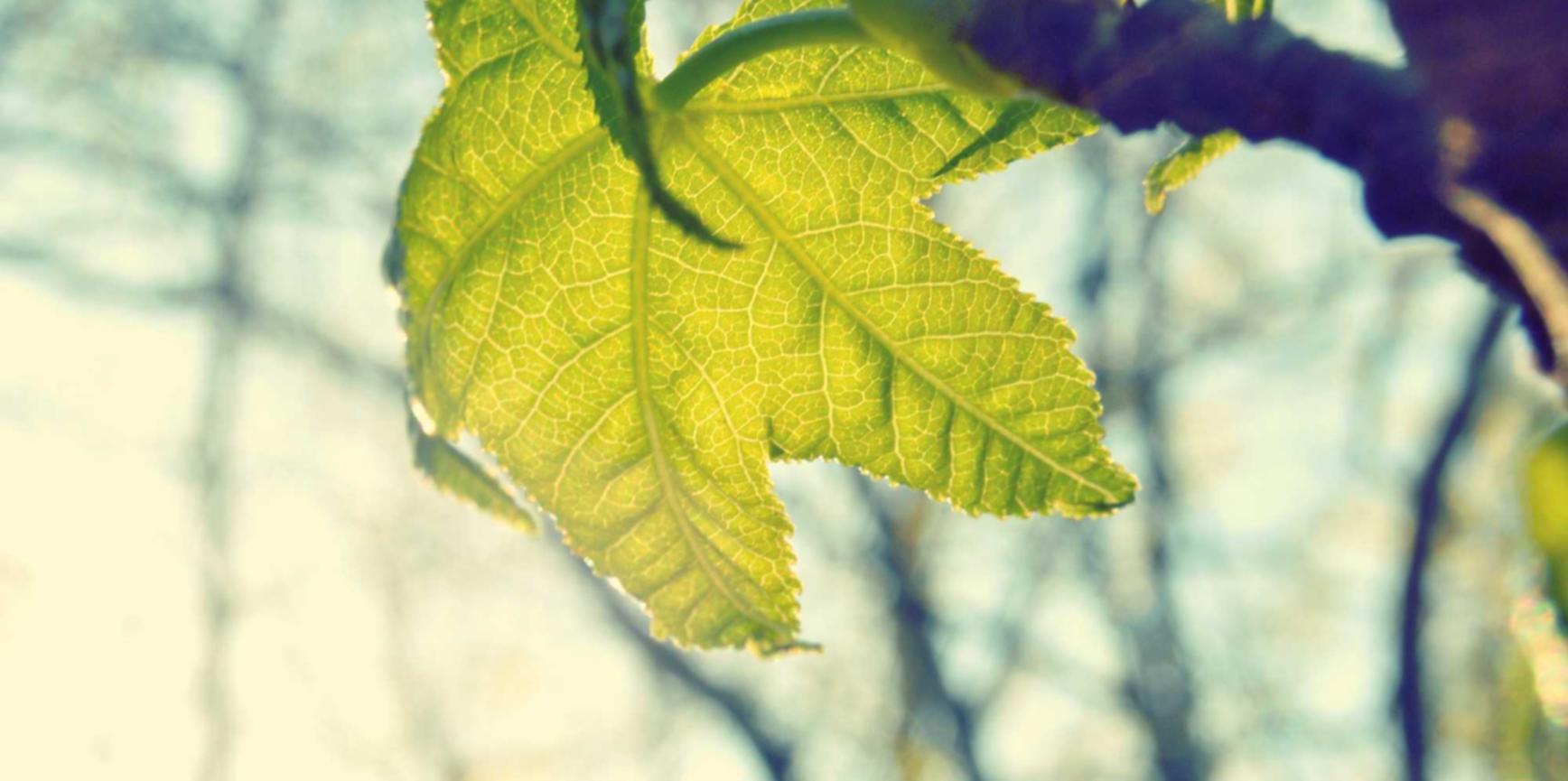 火种实名账号:建邺区工商注册代理