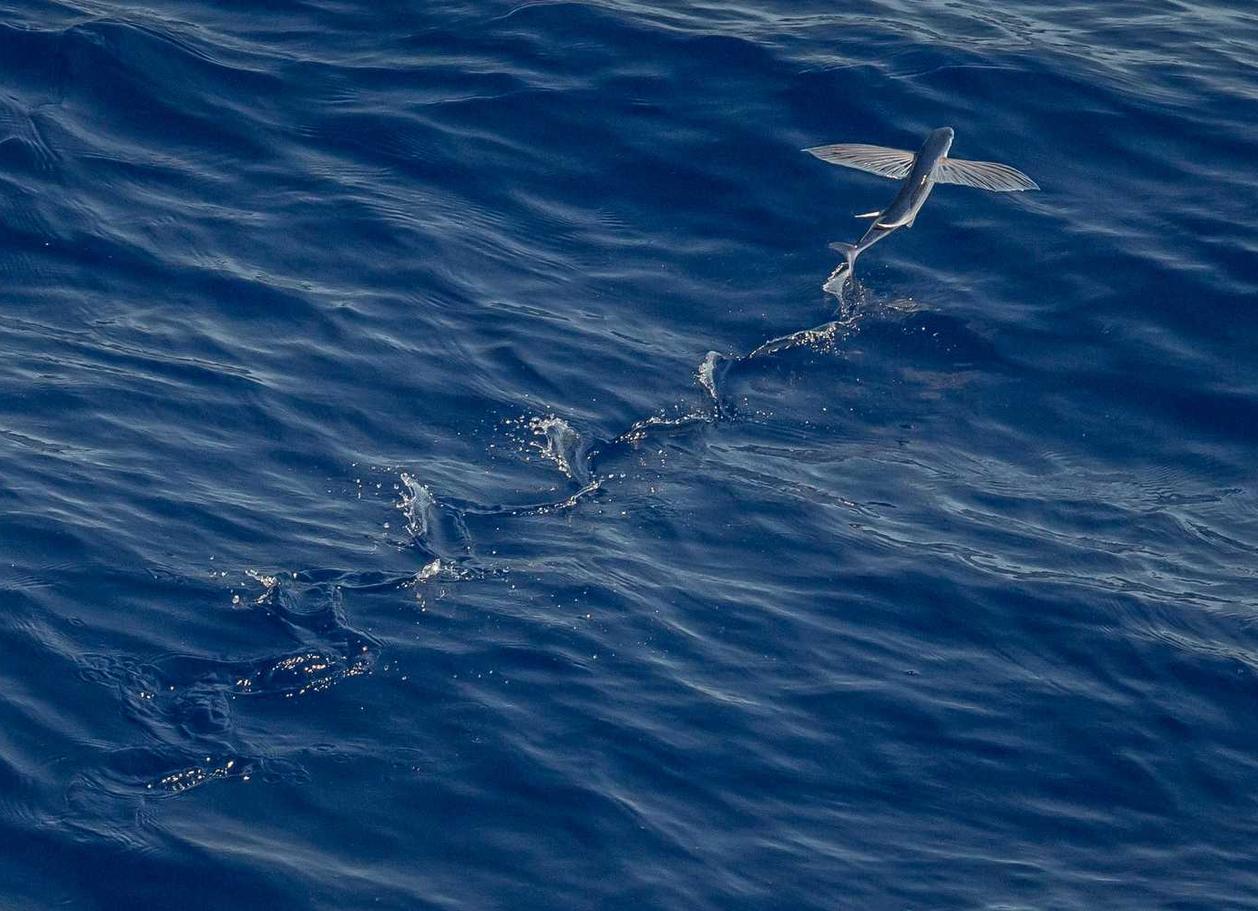 如何通过锻炼来减少抽烟