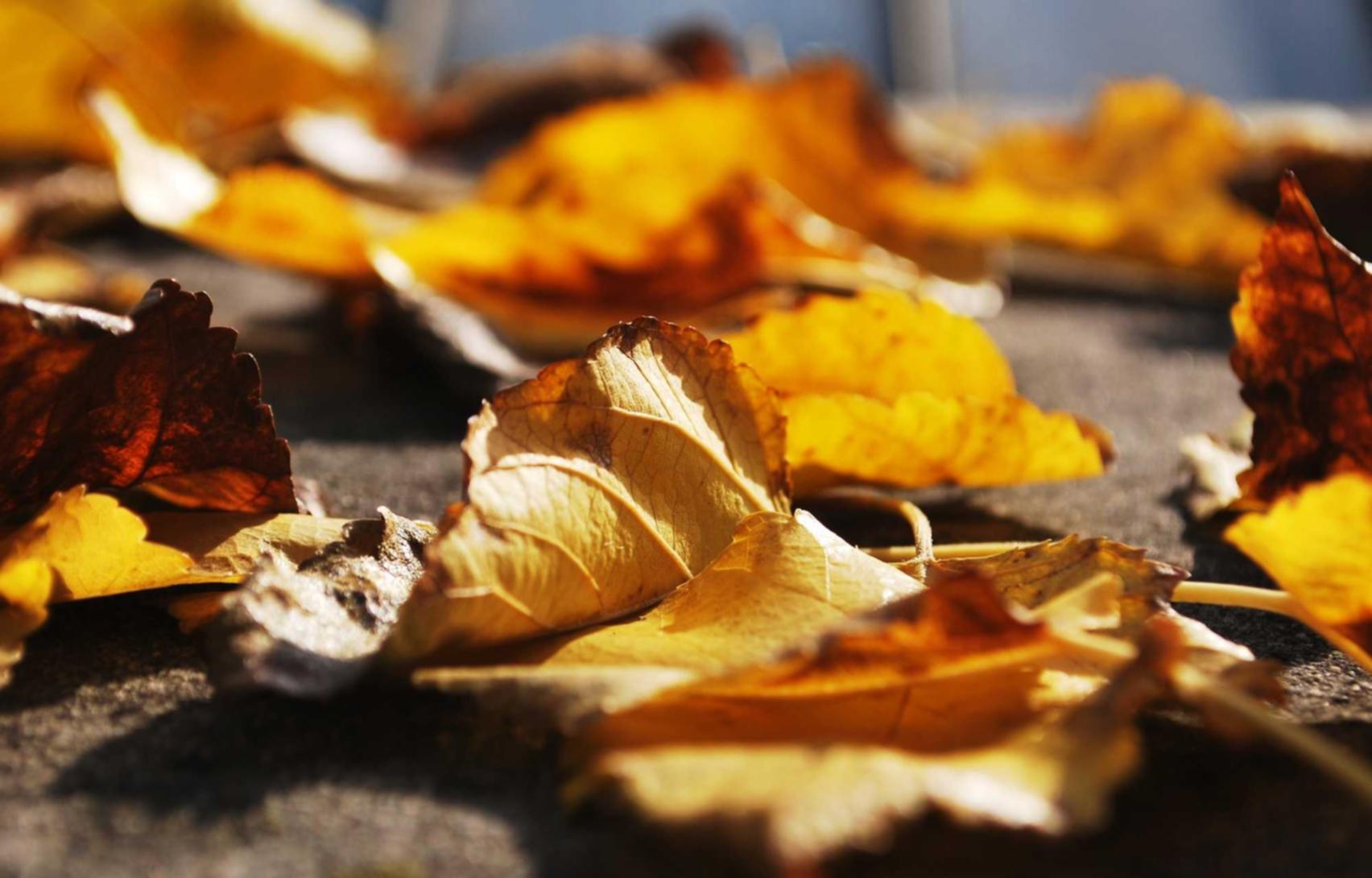 香烟对办公室环境的影响