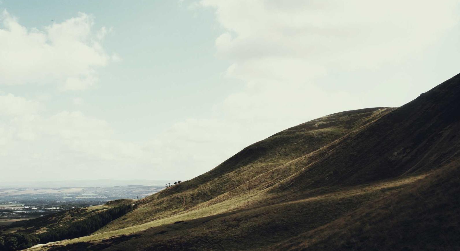 铁塔猫烟花葡萄珠(细):企鹅号官网我要注册账号