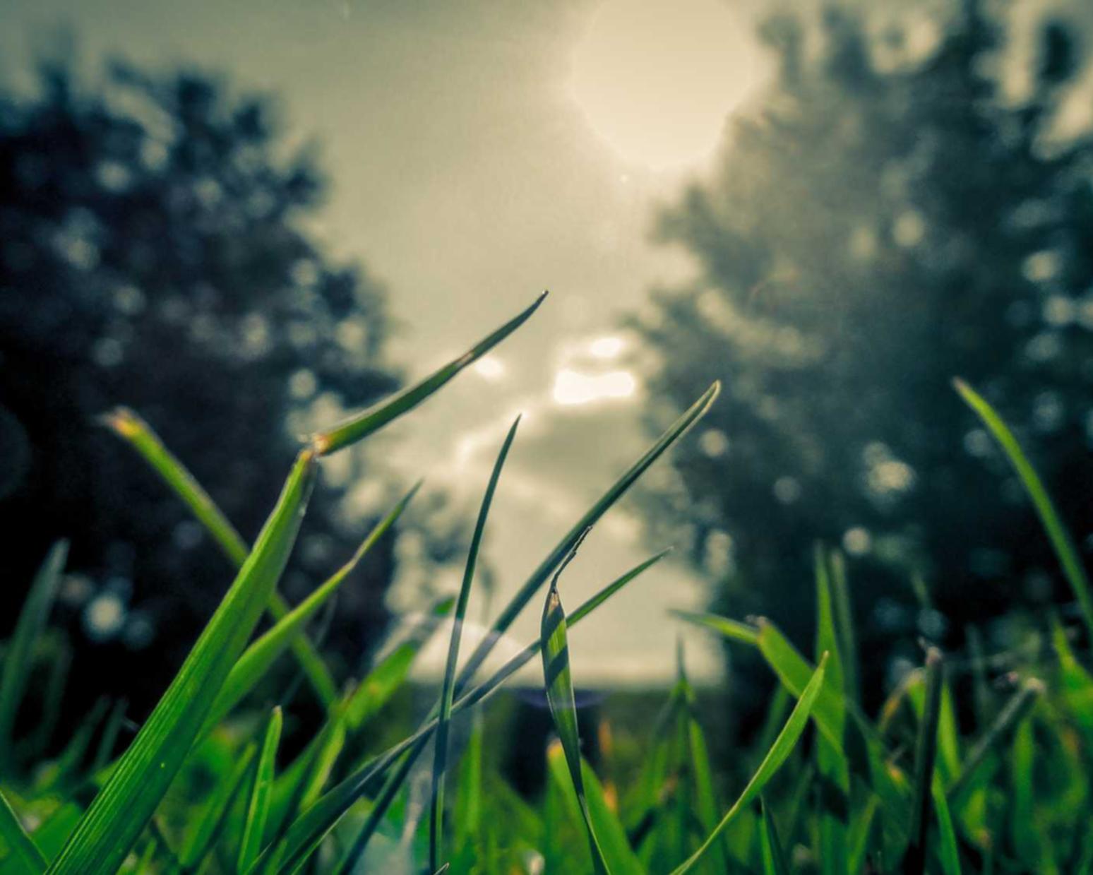 实名支付宝买卖:代理护肤品需要注册吗吗