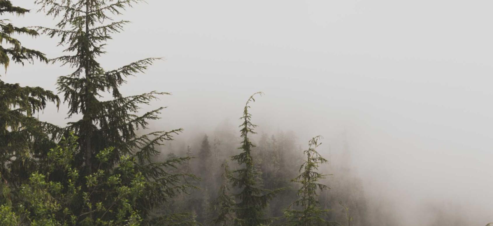 如何代理筹款平台