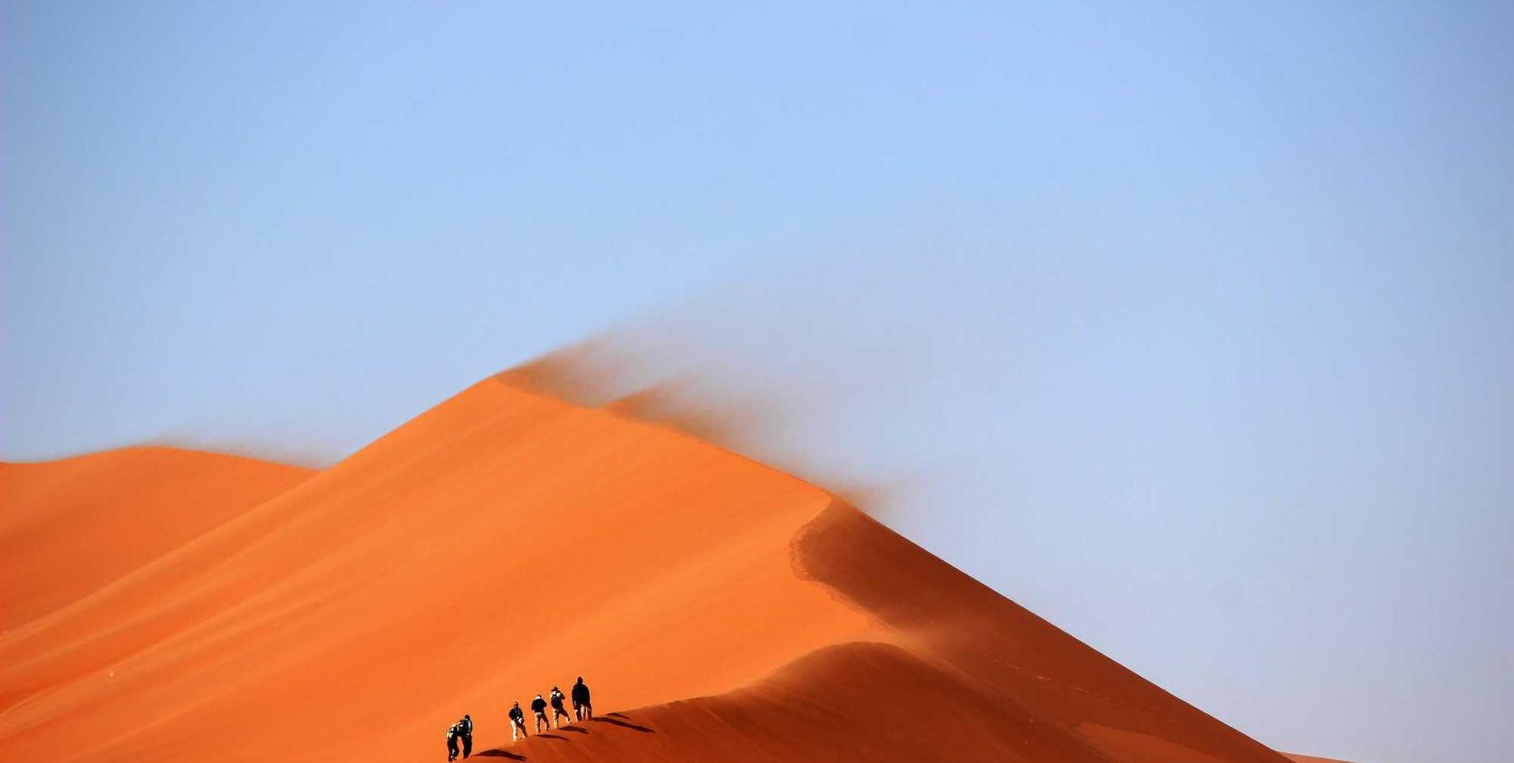 银龄卡实名账号:双十一招代理平台