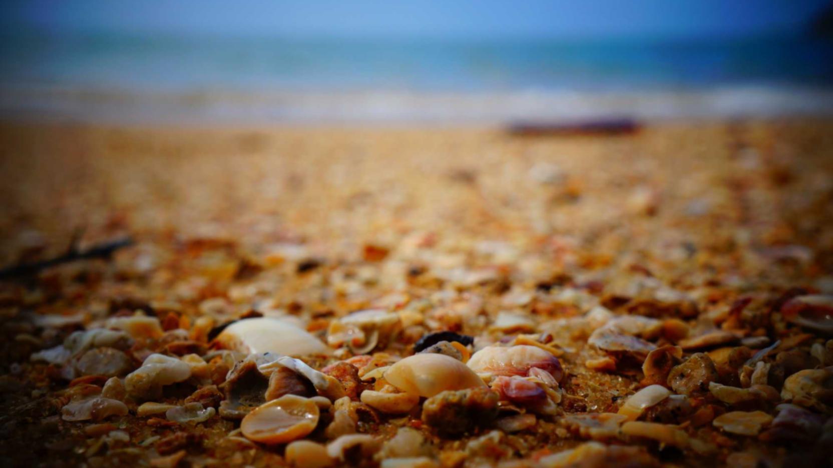 积目实名账号:e路阳光 app详情下载教程