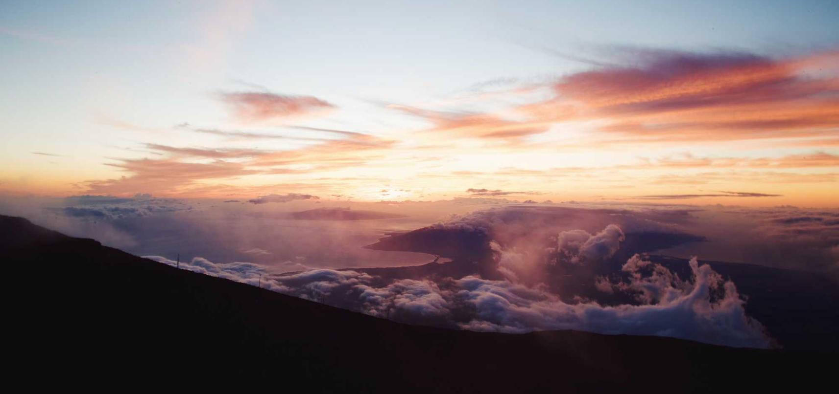 DDOS网页端源码|代理工商注册怎样操作