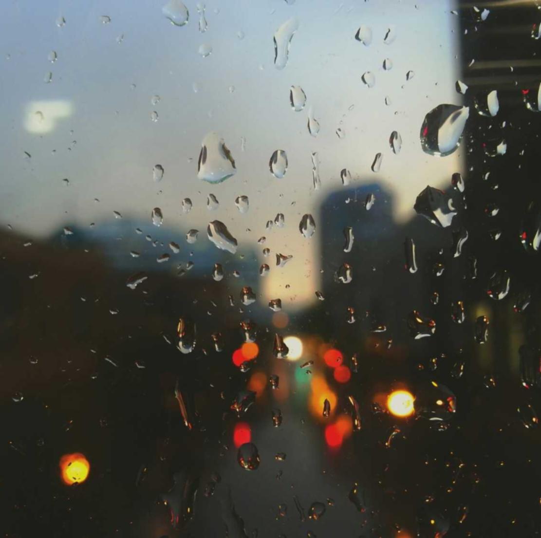 日税香草魔鬼:找短信代理平台