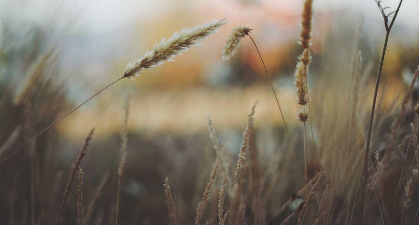 七牛云实名账号:波音直播app详情下载教程