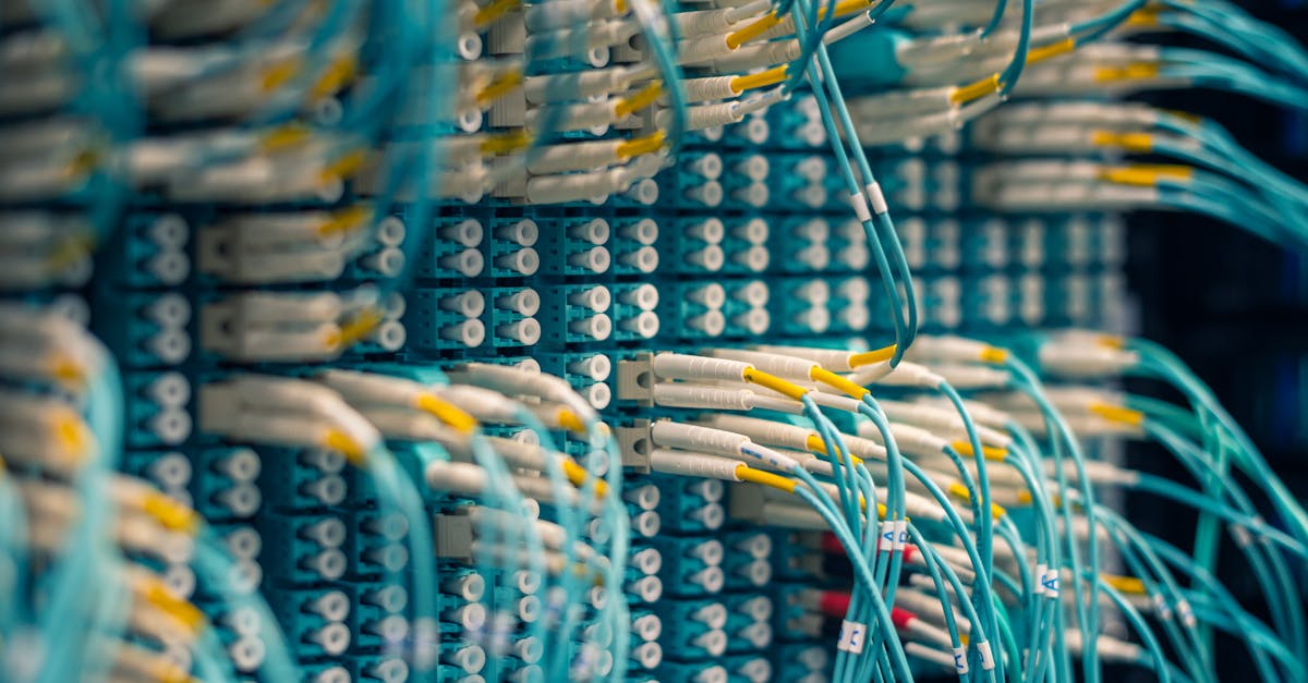 B站手机卡实名账号:邮政公司代理平台