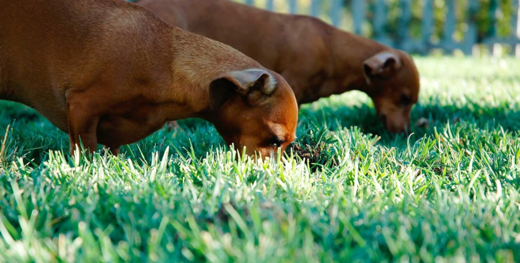 微信号白号批发:switch账号购买平台