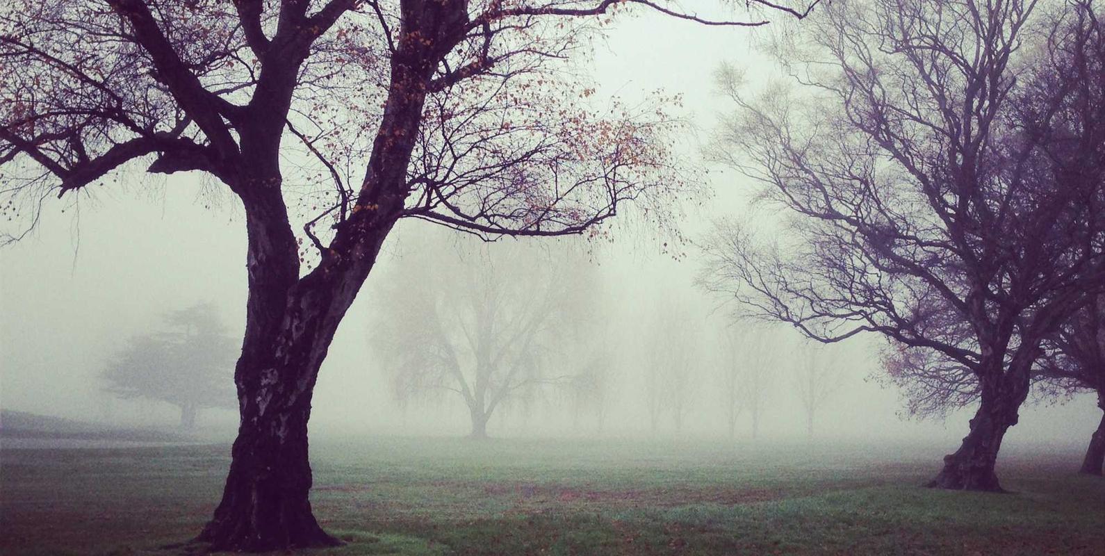 cc网页端|为什么黑客会攻击政府网站