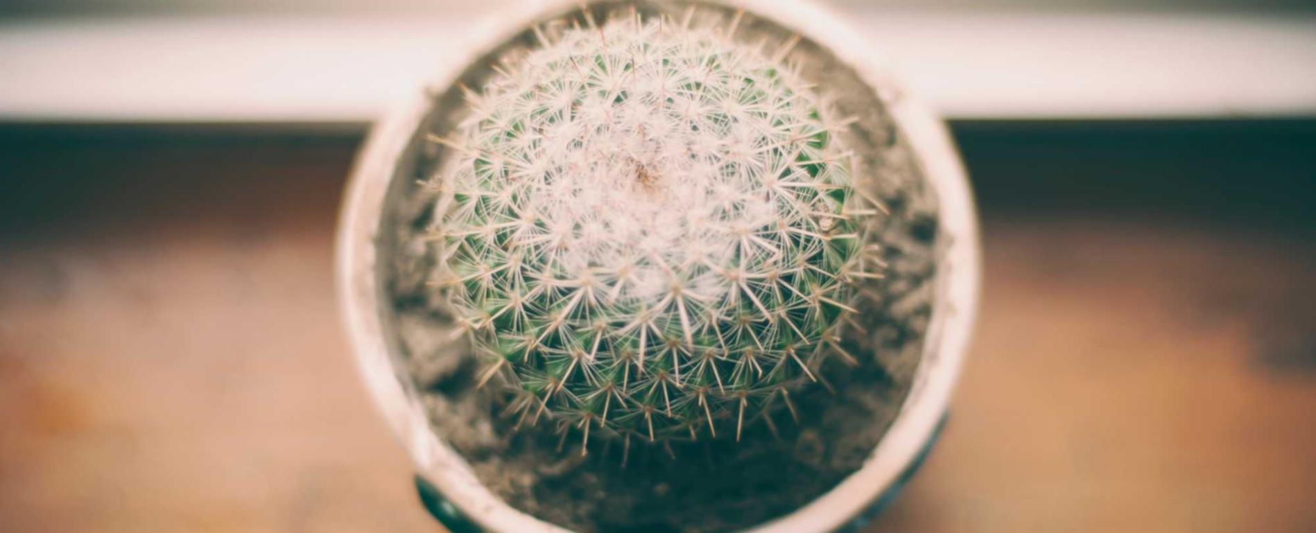 探探实名账号:英雄联盟账号注册什么意思