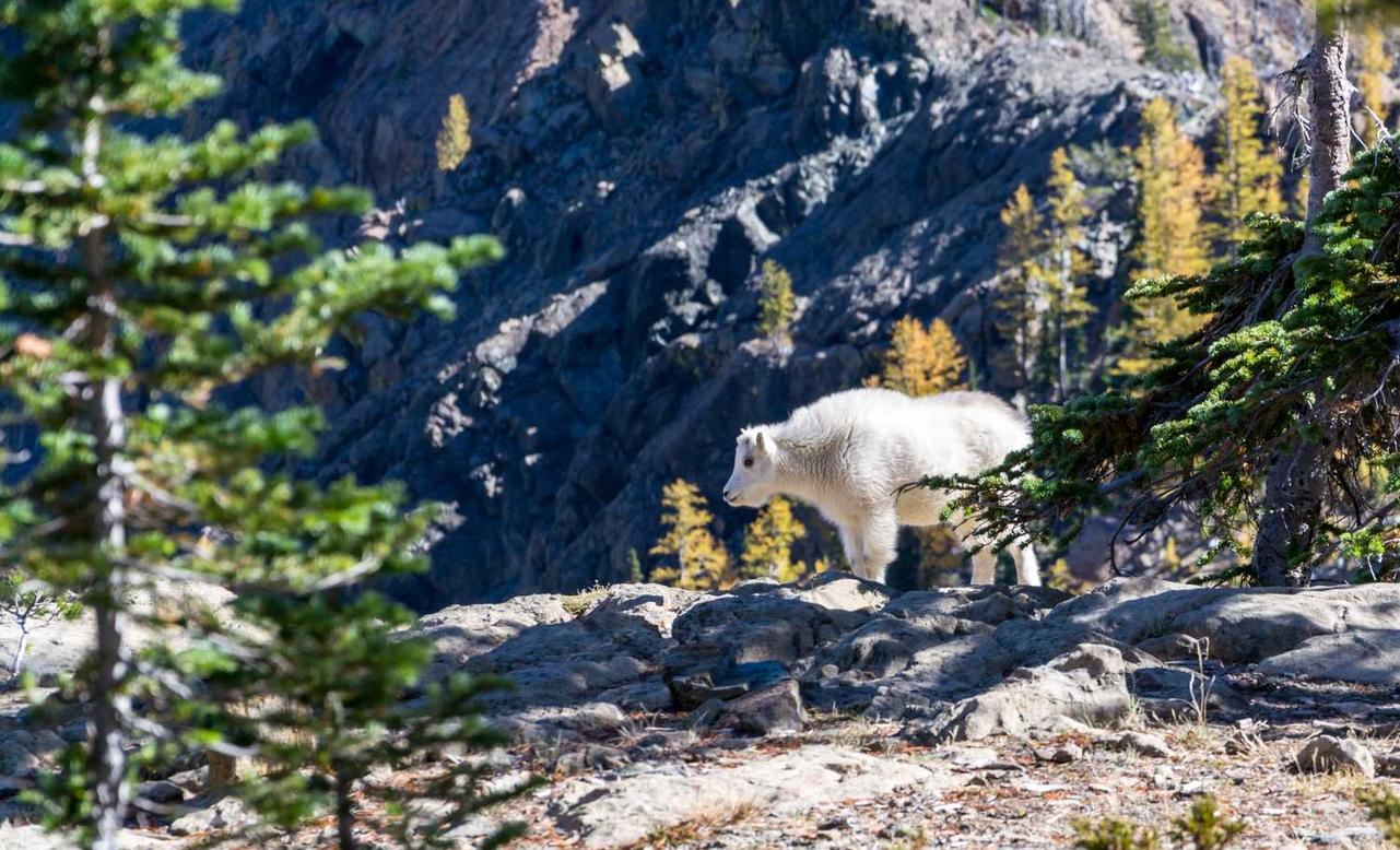 VX小号买卖:详情下载教程美图秀秀app