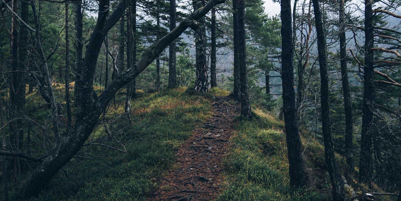 如何对网站进行法语SEO优化