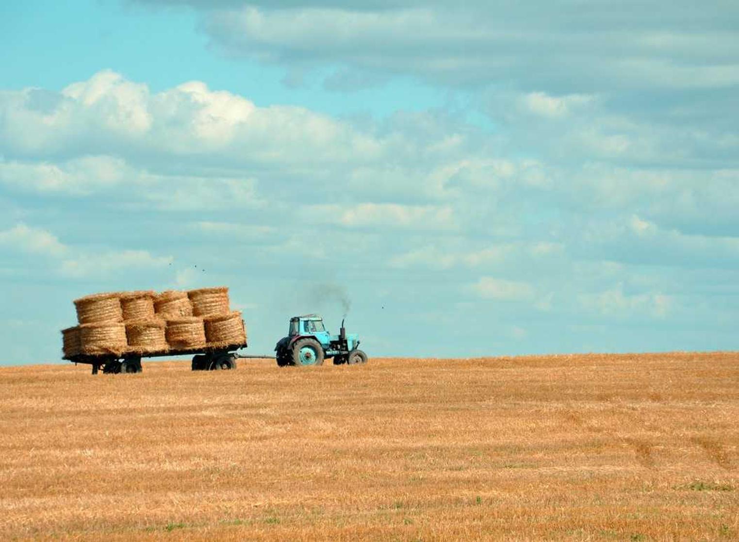 支付宝实名账号:南京代理记账平台