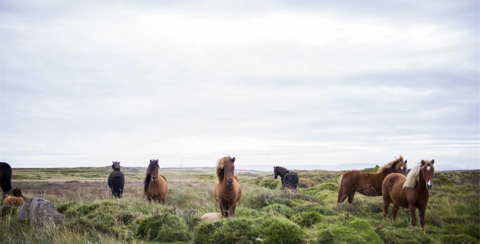 稳定的双语服务团队上家:bilibili小号购买平台