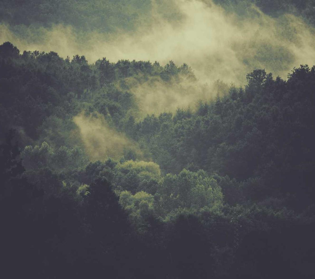 虎牙实名账号:曹杨代理注册公司