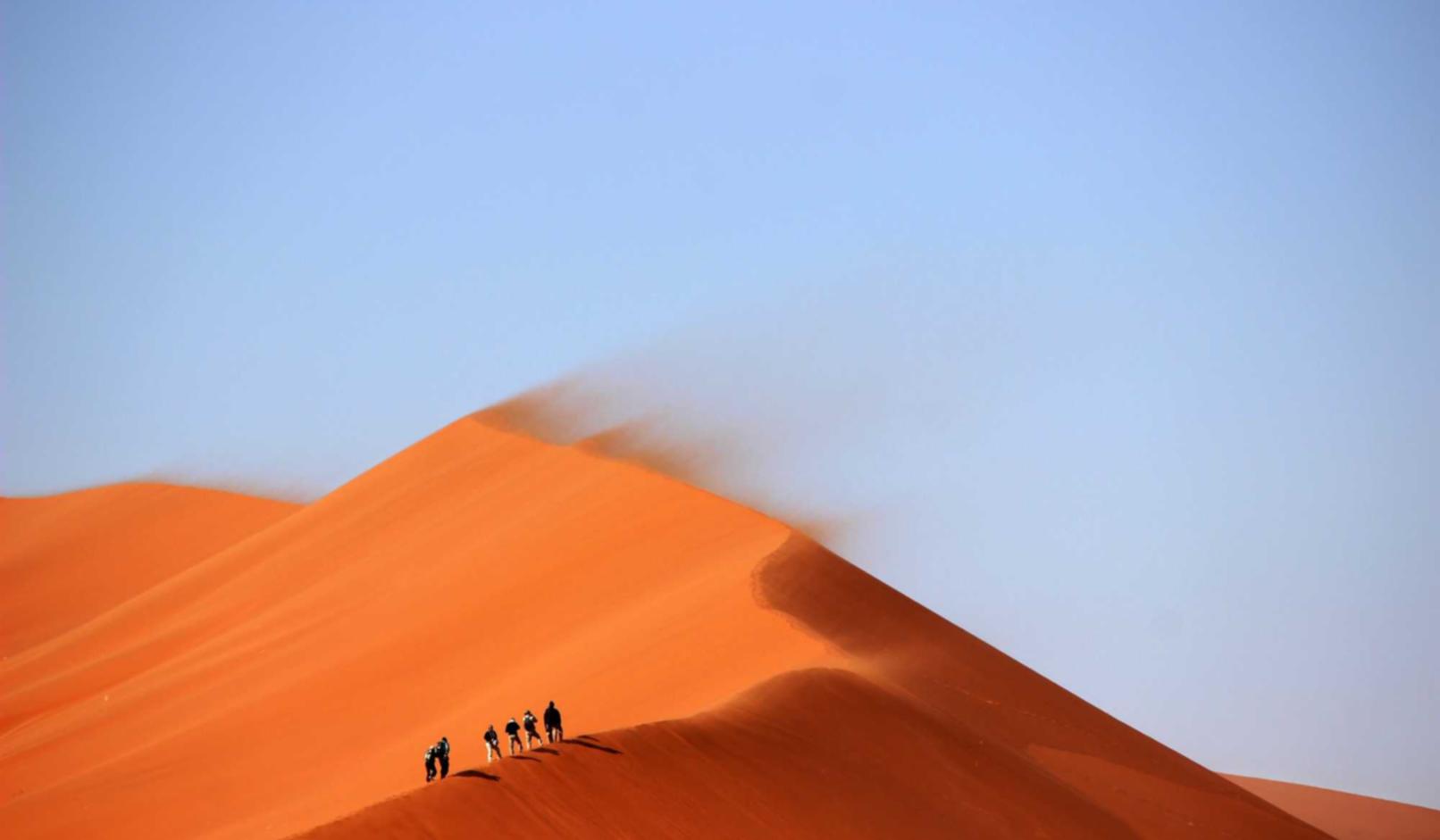 红心红包平台代理