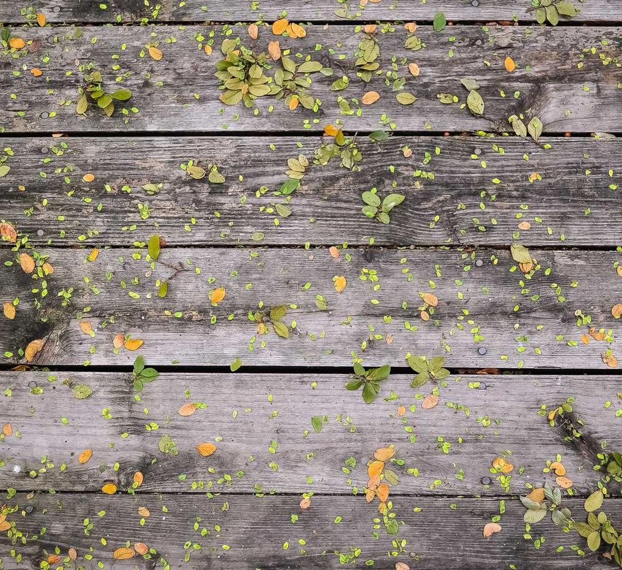 工具带来的破坏,揭开游戏技术支持黑幕?