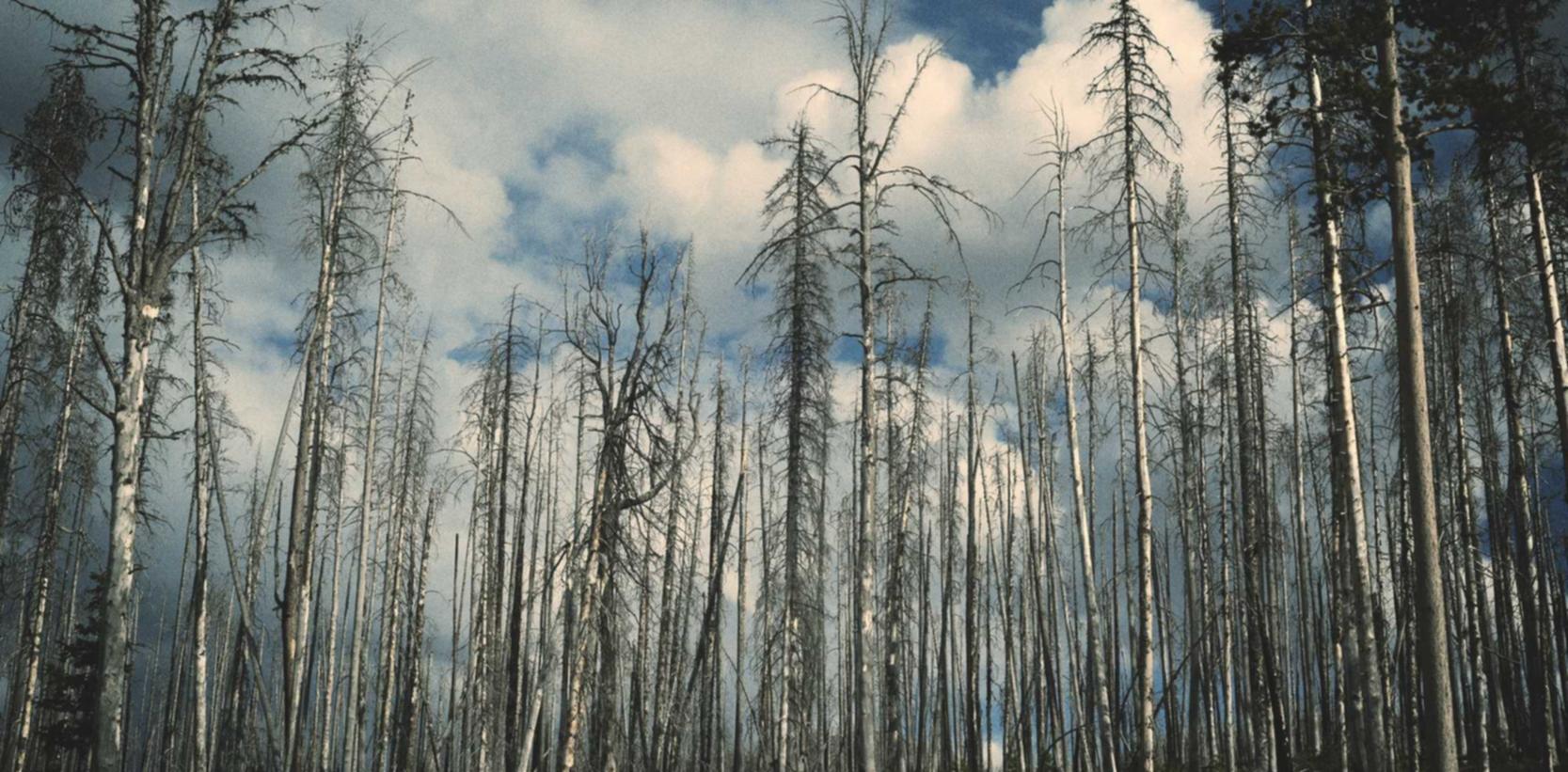 信时空实名账号:短信广告营销技巧