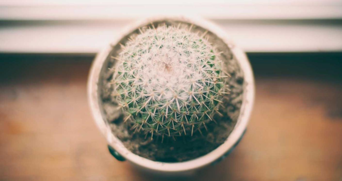 青年一派实名账号:广东开户平台